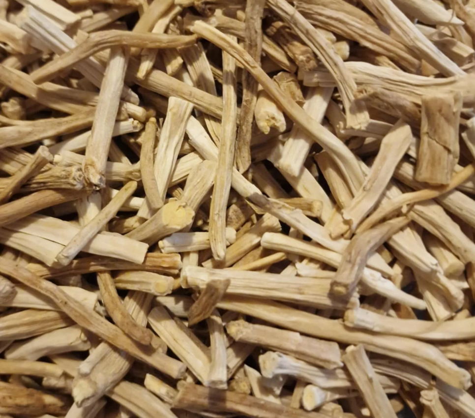 Shatavari Root Extract